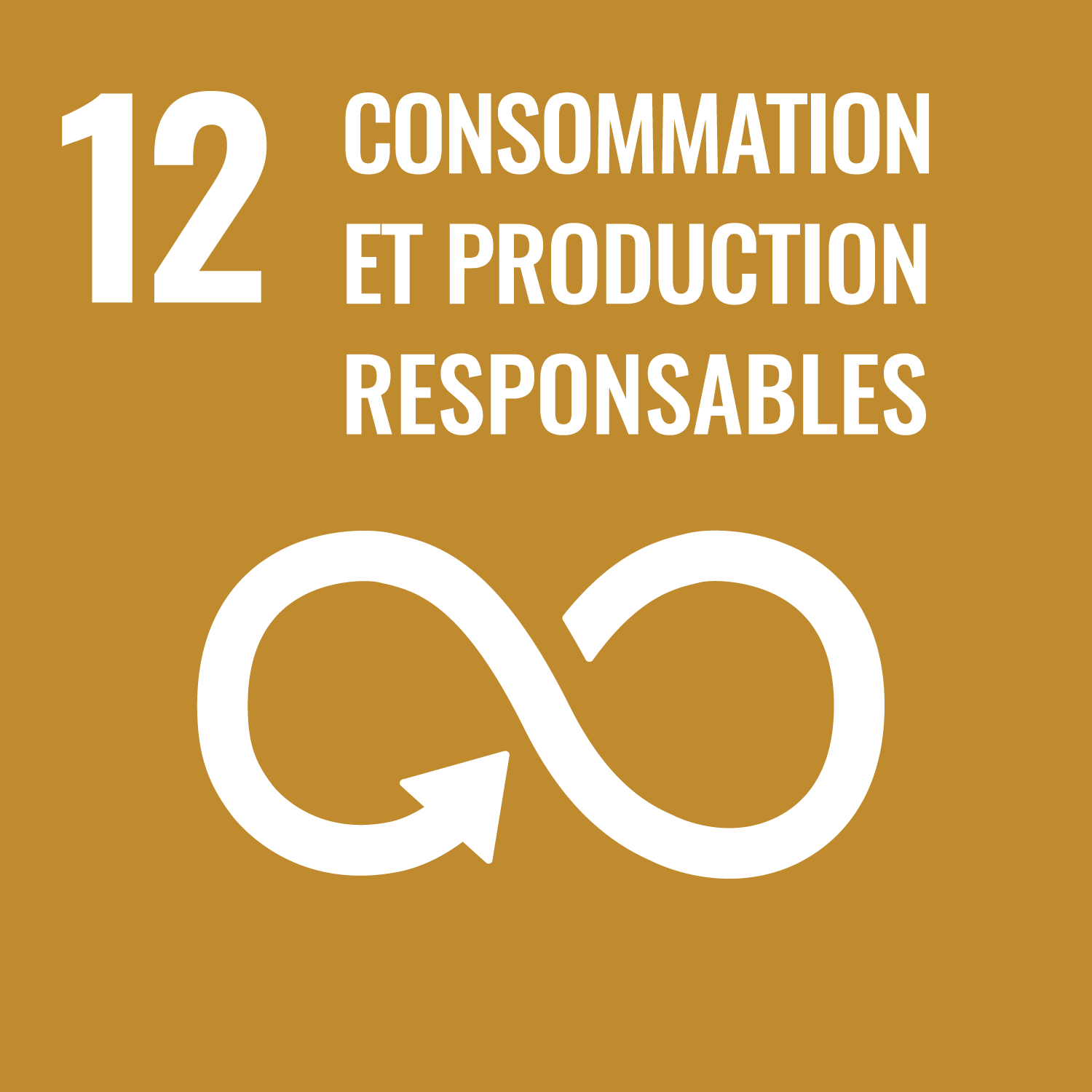 12. consommation & production responsables