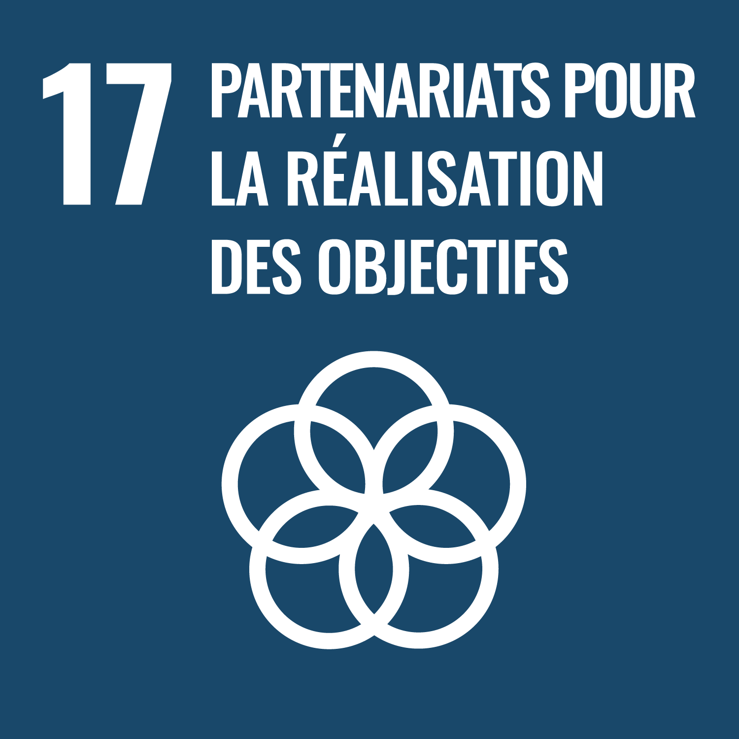 17. partenariats pour la réalisation des projets